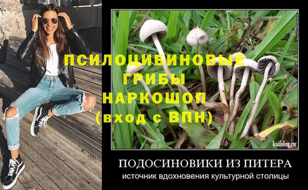 гашик Богородицк