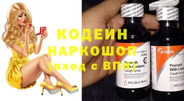 шишки Белоозёрский