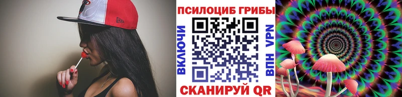 Псилоцибиновые грибы Psilocybe продажа наркотиков Казань